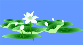 flash荷花动画素材下载